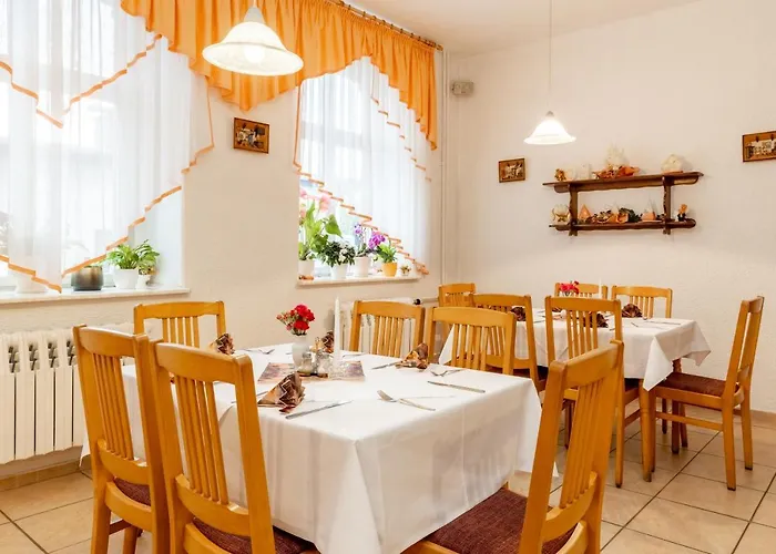 Hotel Carola Olbernhau